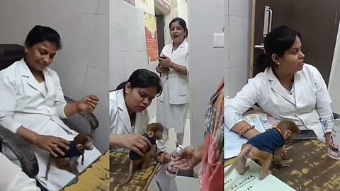 Six nurses suspended in UP's Bahraich for playing with monkey while on duty
