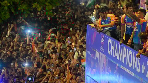 t20 world cup- indian team