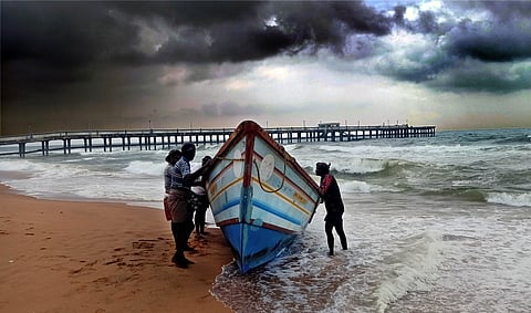 കടലാമകള്‍ വില്ലനായി; ചെമ്മീന്‍ യുഎസിലേക്കില്ല 