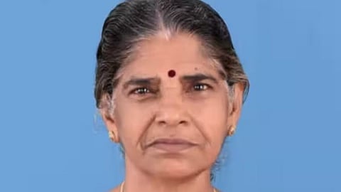 attacked by honey bee