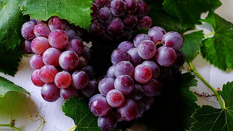 GRAPES