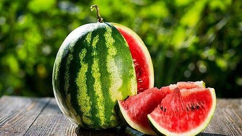 watermelon