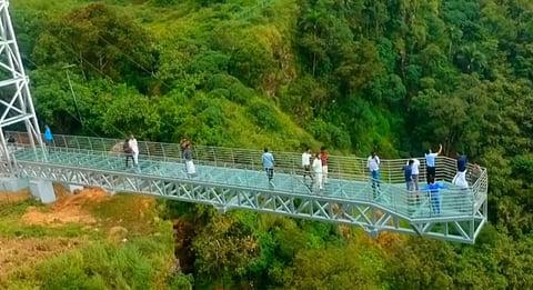 Vagamon Glass Bridge