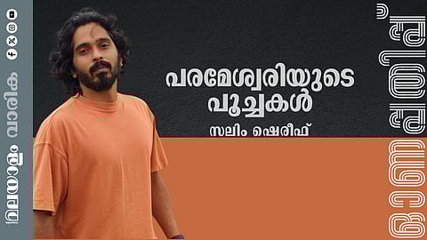 സലീം ഷെരീഫ് എഴുതിയ കഥ: പരമേശ്വരിയുടെ പൂച്ചകൾ