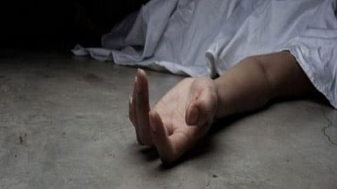 car hit a tree and fell downhill