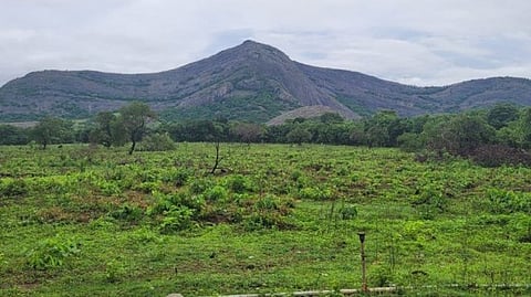 Palakkad 30 crore cricket stadium is ready; KCA with the plan