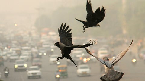 Delhi engulfed in smog