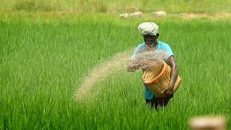 AGRICULTURAL LOAN ENHANCEMENT