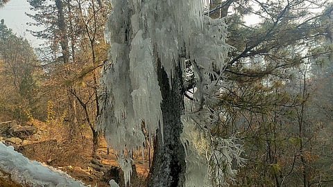  Kashmir Valley experiences sub-zero temperatures