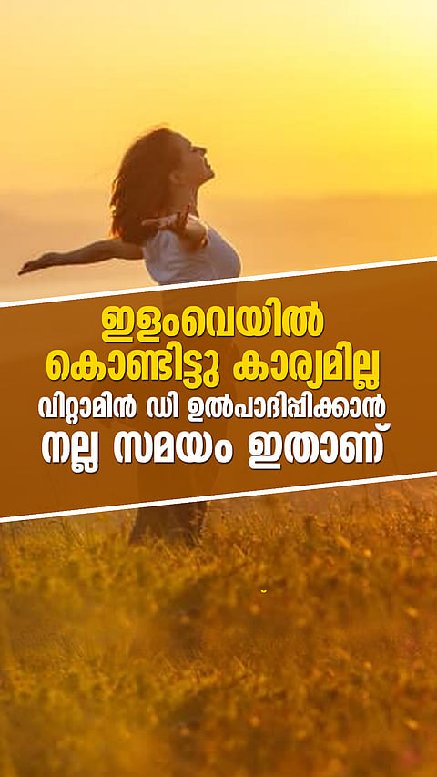വെയിലു കൊള്ളാനുള്ള നല്ല സമയം!