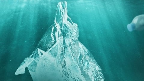 revolutionary biodegradable plastic that dissolves in seawater