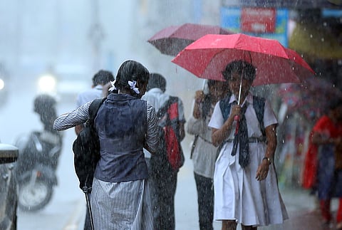 Rains lash Tamil Nadu, schools closed in many districts .