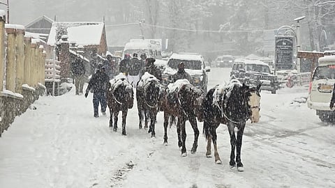 5,000 Tourists Stranded In Himachal's Kullu Rescued Amid Heavy Snowfall