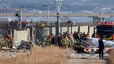  Plane Crashes On South Korea Runway