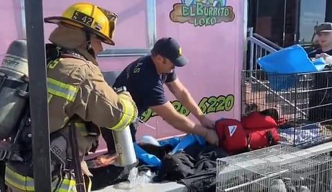 തീപിടിത്തില്‍ പരിക്ക് പറ്റിയ മൃഗങ്ങളെ പരിചരിക്കുന്ന അഗ്നിരക്ഷാ പ്രവര്‍ത്തകര്‍

