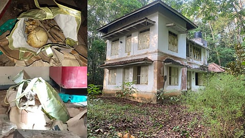 chottanikkara skeleton found