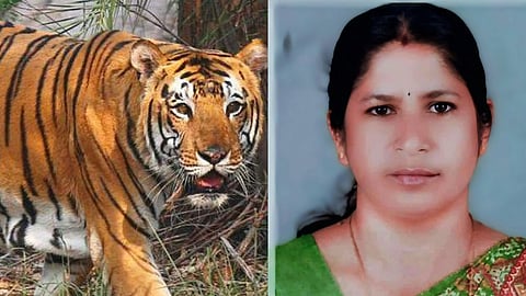 UDF hartal in Wayanad tomorrow