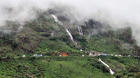 Chilling again in Munnar