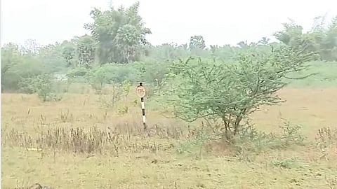 palakkad brewery plant