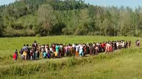 wild elephant attack