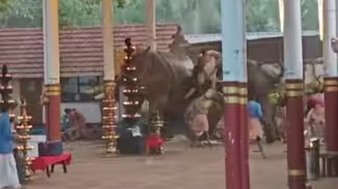 Elephant attacks temple festival in Koyilandy; two dead