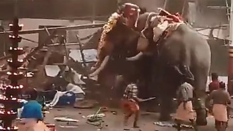 Elephant attack during festival in Koyilandy