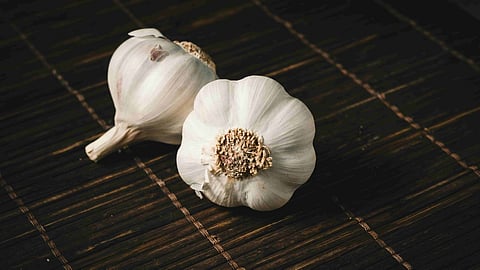 GARLIC as medicine for cancer