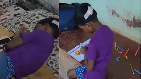 Wild boar attack; Six-year-old girl hit