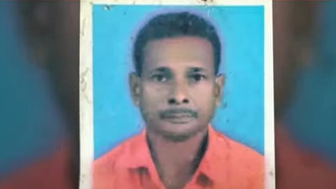 wild elephant attack