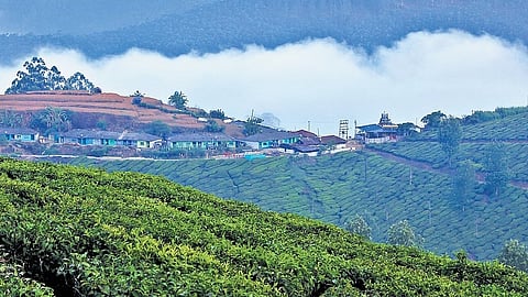 'മോസ്റ്റ് വെല്‍കമിങ് റീജിയന്‍സ്'; സഞ്ചാരികളുടെ ഇഷ്ട ഇടം, പട്ടികയില്‍ കേരളത്തിന് നേട്ടം