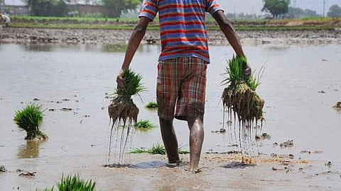 PM to release 19th instalment of PM-KISAN on Monday