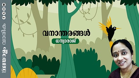 ധന്യാരാജ് എഴുതിയ കഥ 'വനാന്തരങ്ങള്‍'