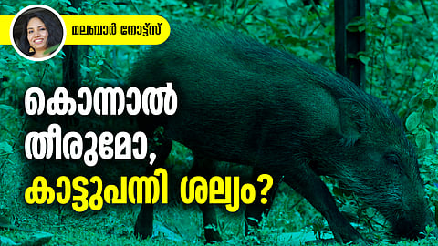 പഞ്ചായത്തിനായി വന്യജീവിയെ കൊന്നാല്‍ ആരാണ് ഉത്തരവാദി?