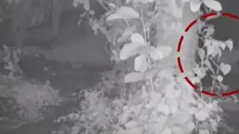 thrissur leopard attack