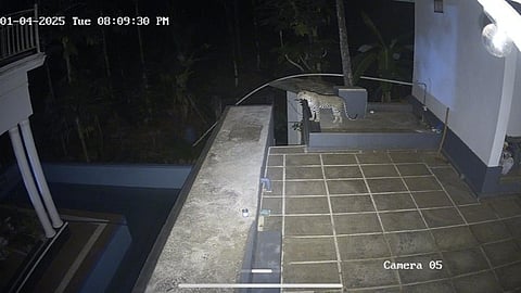 shocked after checking CCTV; leopard in backyard, Kasaragod panic again