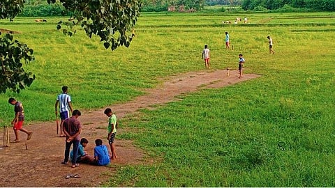 Cricket: കണ്ടം ക്രിക്കറ്റ് ചെറിയ കളിയല്ല, ഒപ്പം ഇറങ്ങാന്‍ കലക്ടറുമുണ്ട്!
