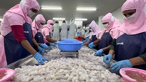 US reciprocal tax leaves Indian seafood industry jittery