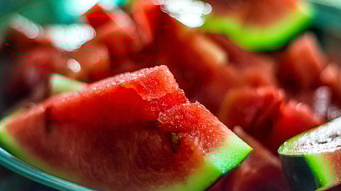 WATERMELON IN SUMMER