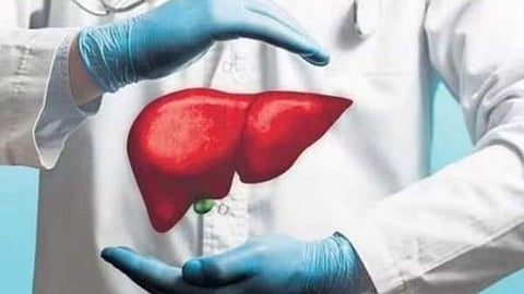 fatty liver diseases