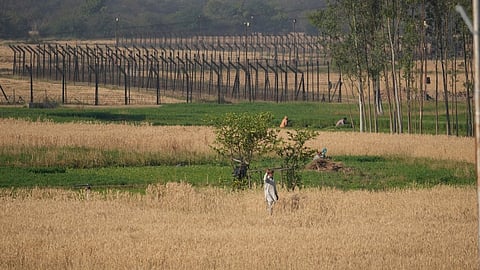 ജമ്മു രണ്‍ധീര്‍സിങ് പോര അന്താരാഷ്ട്ര അതിര്‍ത്തിക്ക് സമീപത്തെ കൃഷിയിടത്തില്‍ ഇന്ത്യന്‍ കര്‍ഷകന്‍
