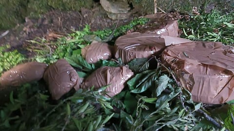 Terror Hideout Busted