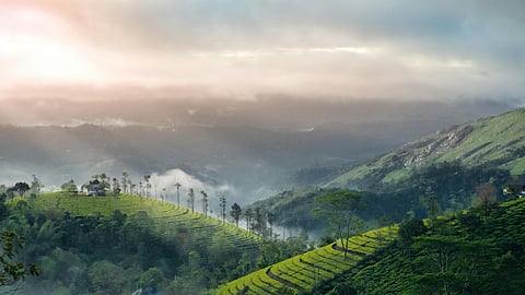 Things to keep in mind when traveling in the high range