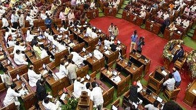 state legislatures Image