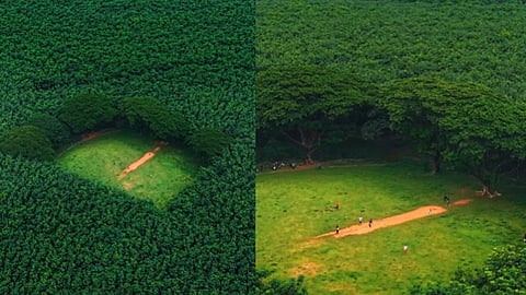 green field ground in thrissur- viral video