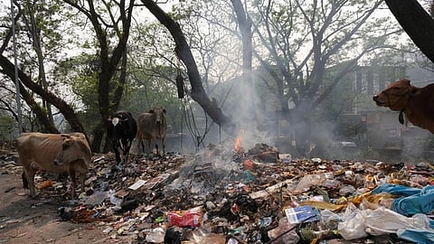 This Indian city was ranked the world's most polluted in 2024. It's not Delhi