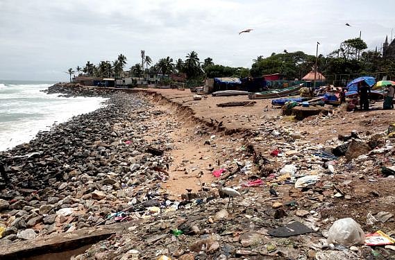 world environment day 2025
