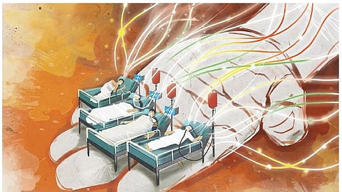 universal palliative care portal, 