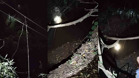 nilambur student death