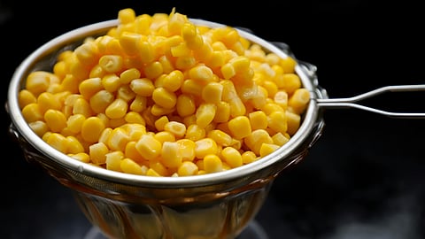 Corn Kernels On Strainer