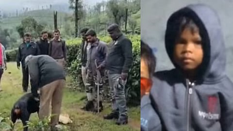 Body of four-year-old girl killed by leopard found in Valparai